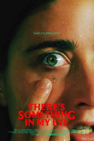 There's Something In My Eye's poster