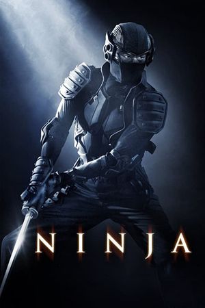 Ninja's poster