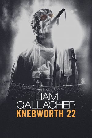 Liam Gallagher: Knebworth 22's poster