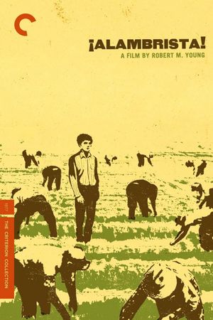 Alambrista!'s poster