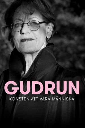 The Feminist: A Swedish Inspiration's poster