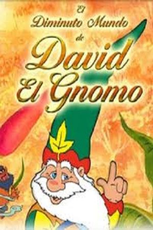 The Tiny Little World of David The Gnome's poster