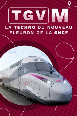 TGV M : La Techno du nouveau fleuron de la SNCF's poster image