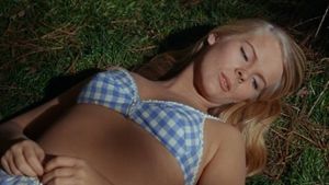 The Swimmer's poster