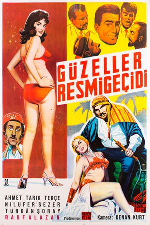 Güzeller resmigeçidi's poster image