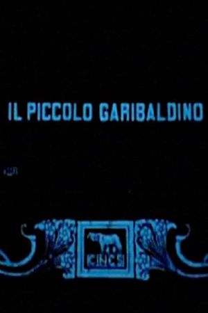 Il piccolo garibaldino's poster