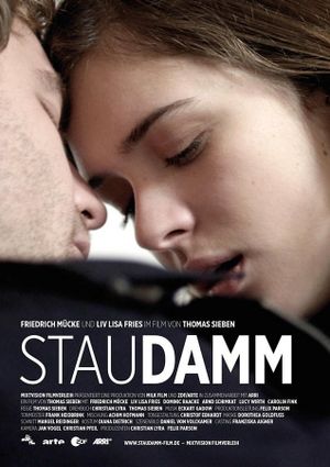 Staudamm's poster