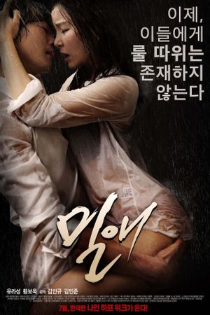 Affair's poster