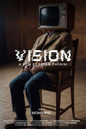 Vision's poster