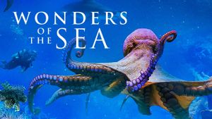 Wonders of the Sea's poster