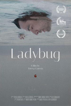 Ladybug's poster