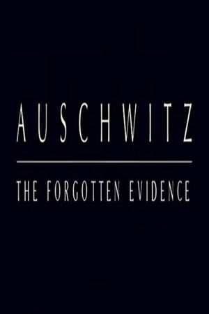 Auschwitz: The Forgotten Evidence's poster image