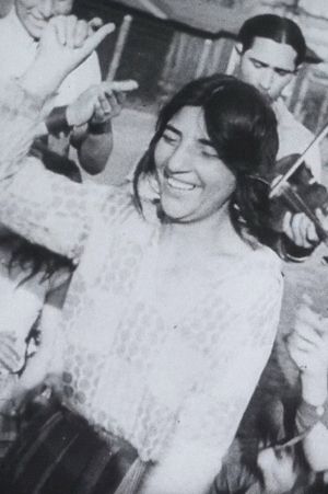 Metropolitan Gypsies's poster image