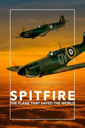 Spitfire's poster