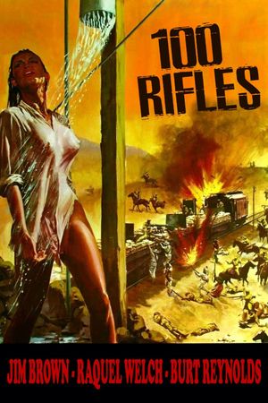 100 Rifles's poster