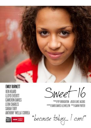 Sweet Sixteen's poster