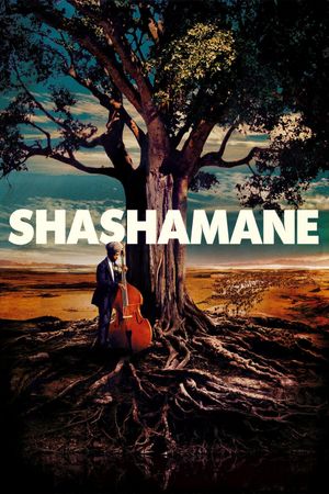 Shashamane's poster image