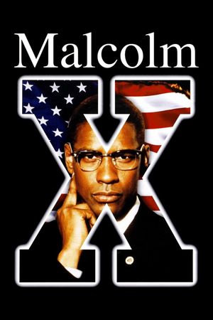 Malcolm X's poster