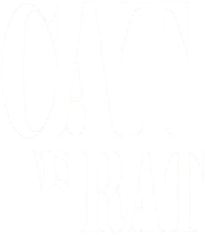 Cat vs Rat's poster