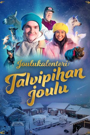 Joulukalenteri: Talvipihan joulu's poster