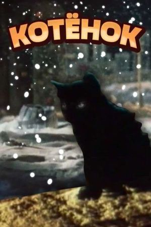 The Kitten's poster image