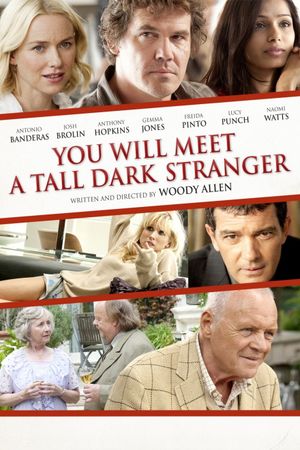You Will Meet a Tall Dark Stranger's poster