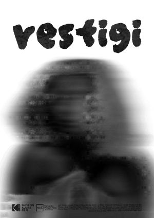 Vestigi's poster image