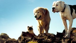 Homeward Bound: The Incredible Journey's poster