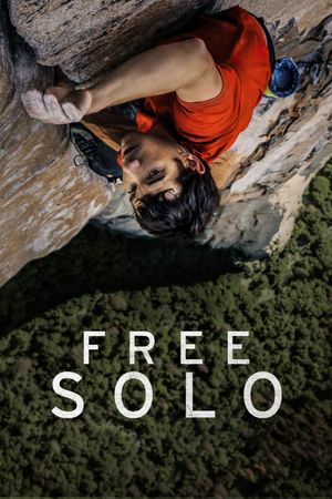 Free Solo's poster