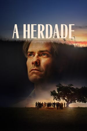 The Domain's poster