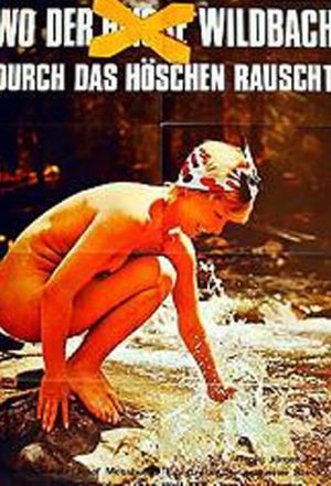 Wo der Wildbach durch das Höschen rauscht - Witwen-Report's poster