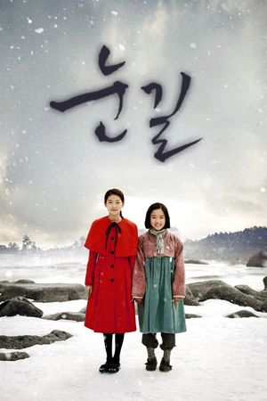 Snowy Road's poster