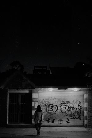Birds sing at night's poster