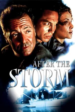 After the Storm's poster