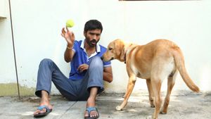 Velaiyilla Pattathari's poster