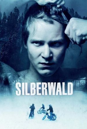 Silver Forest's poster