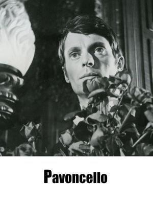 Pavoncello's poster