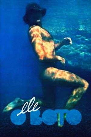 The Dolphin's poster