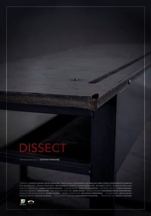 Dissect's poster