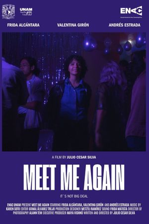 Meet Me Again's poster