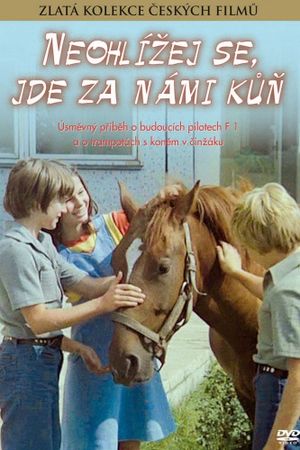 Neohlízej se, jde za námi kùn's poster