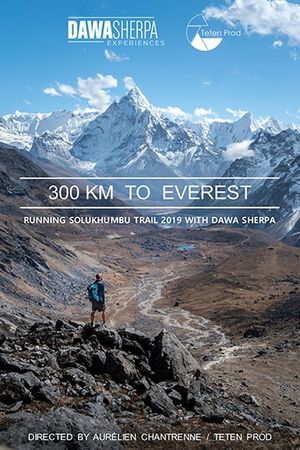 300 km vers l'Everest's poster