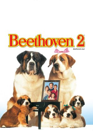 Beethoven's 2nd's poster