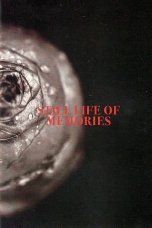 Still Life of Memories's poster