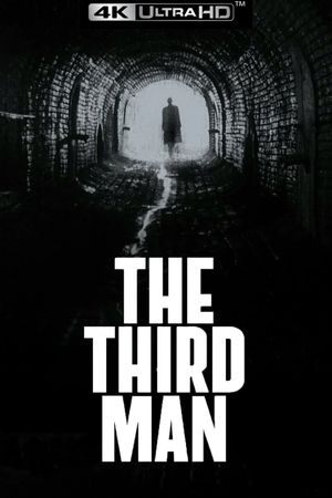 The Third Man's poster