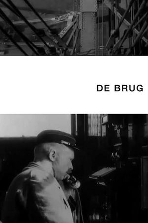The Bridge's poster