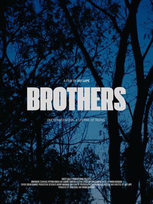 Brothers's poster