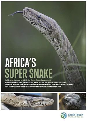 Africa's Super Snake's poster