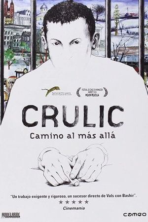 Crulic - The Path to Beyond's poster