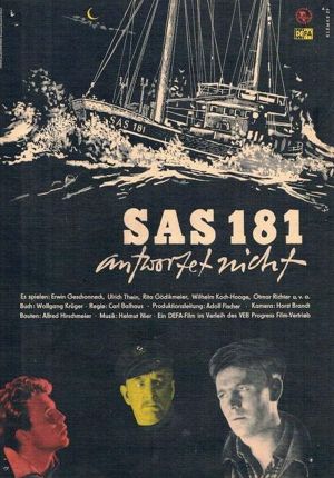SAS 181 Does Not Reply's poster